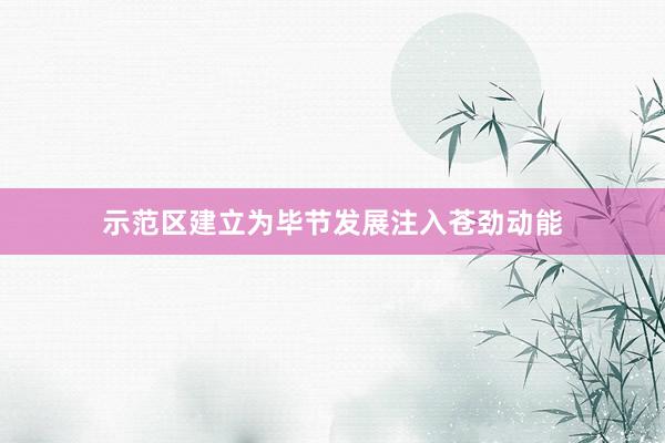 示范区建立为毕节发展注入苍劲动能
