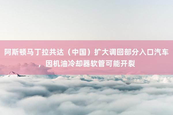 阿斯顿马丁拉共达（中国）扩大调回部分入口汽车，因机油冷却器软管可能开裂