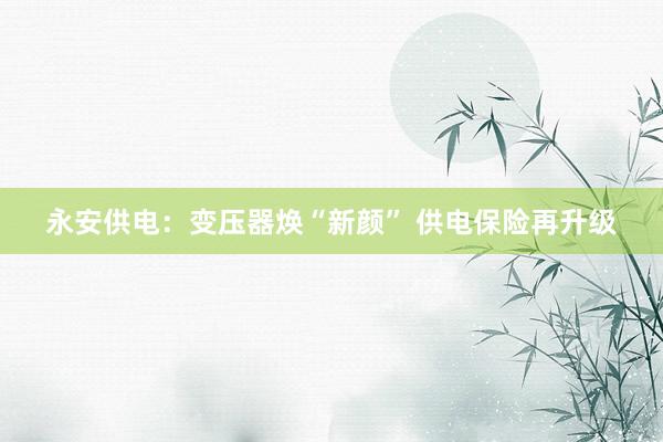 永安供电：变压器焕“新颜” 供电保险再升级