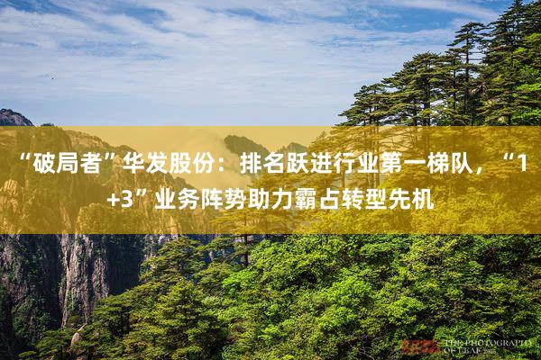 “破局者”华发股份：排名跃进行业第一梯队，“1+3”业务阵势助力霸占转型先机
