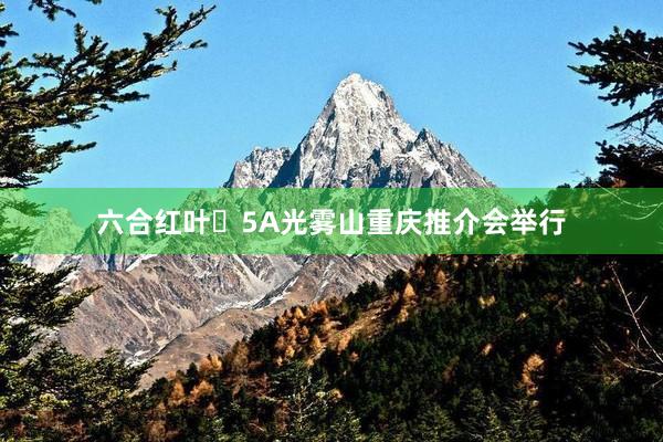 六合红叶・5A光雾山重庆推介会举行