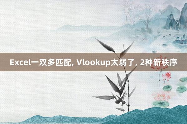 Excel一双多匹配, Vlookup太弱了, 2种新秩序