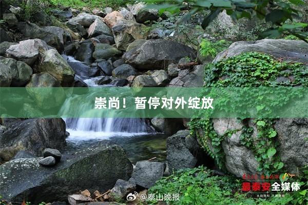 崇尚！暂停对外绽放