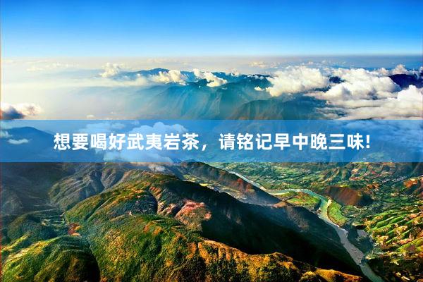 想要喝好武夷岩茶，请铭记早中晚三味!