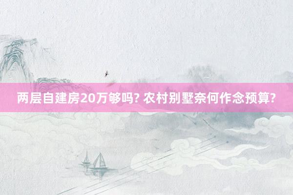 两层自建房20万够吗? 农村别墅奈何作念预算?